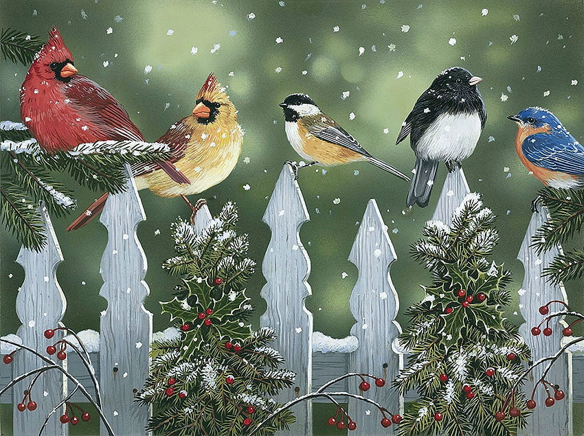 Garden Christmas, chickadee, songbirds, birds, artwork, decoration, painting, snow, fence, cardinals HD wallpaper