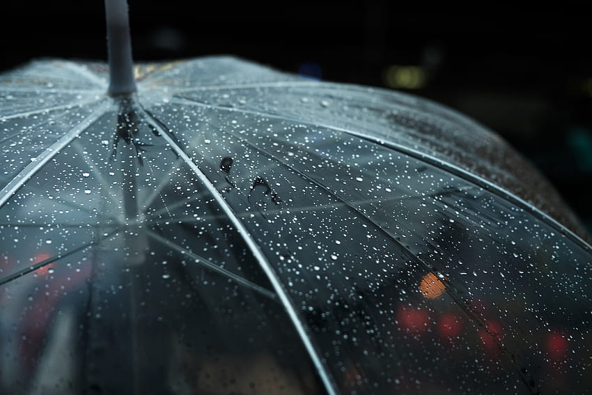 우산, 보케, 비, 방울 HD 월페이퍼