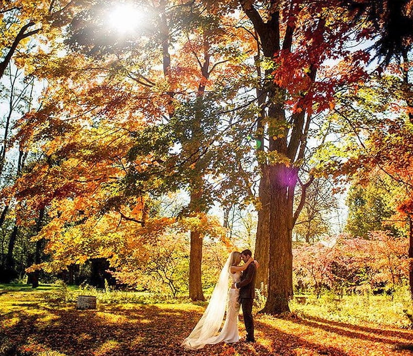 Matrimonio in un giorno d'autunno, natura, coppia, autunno, matrimonio Sfondo HD