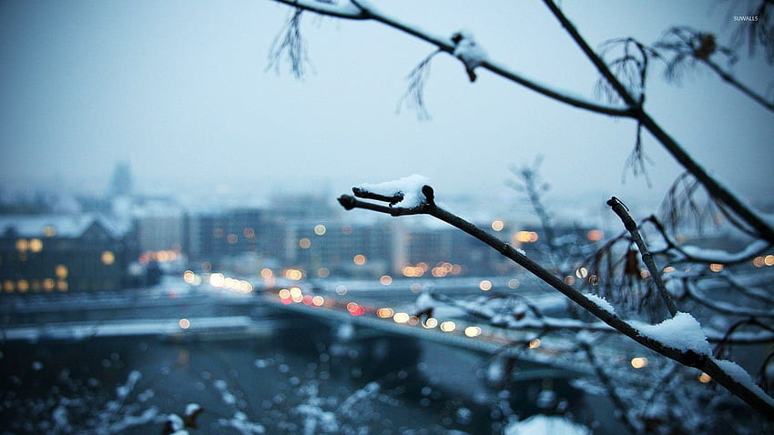 Snowy branch with the city in the background - graphy HD wallpaper