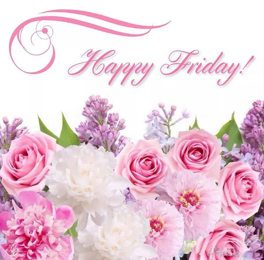 Happy Friday Flower friday ハッピーフライデー tgif おはよう金曜日 ピンクの花、ピンクの花の背景、美しいピンクのバラ 高画質の壁紙