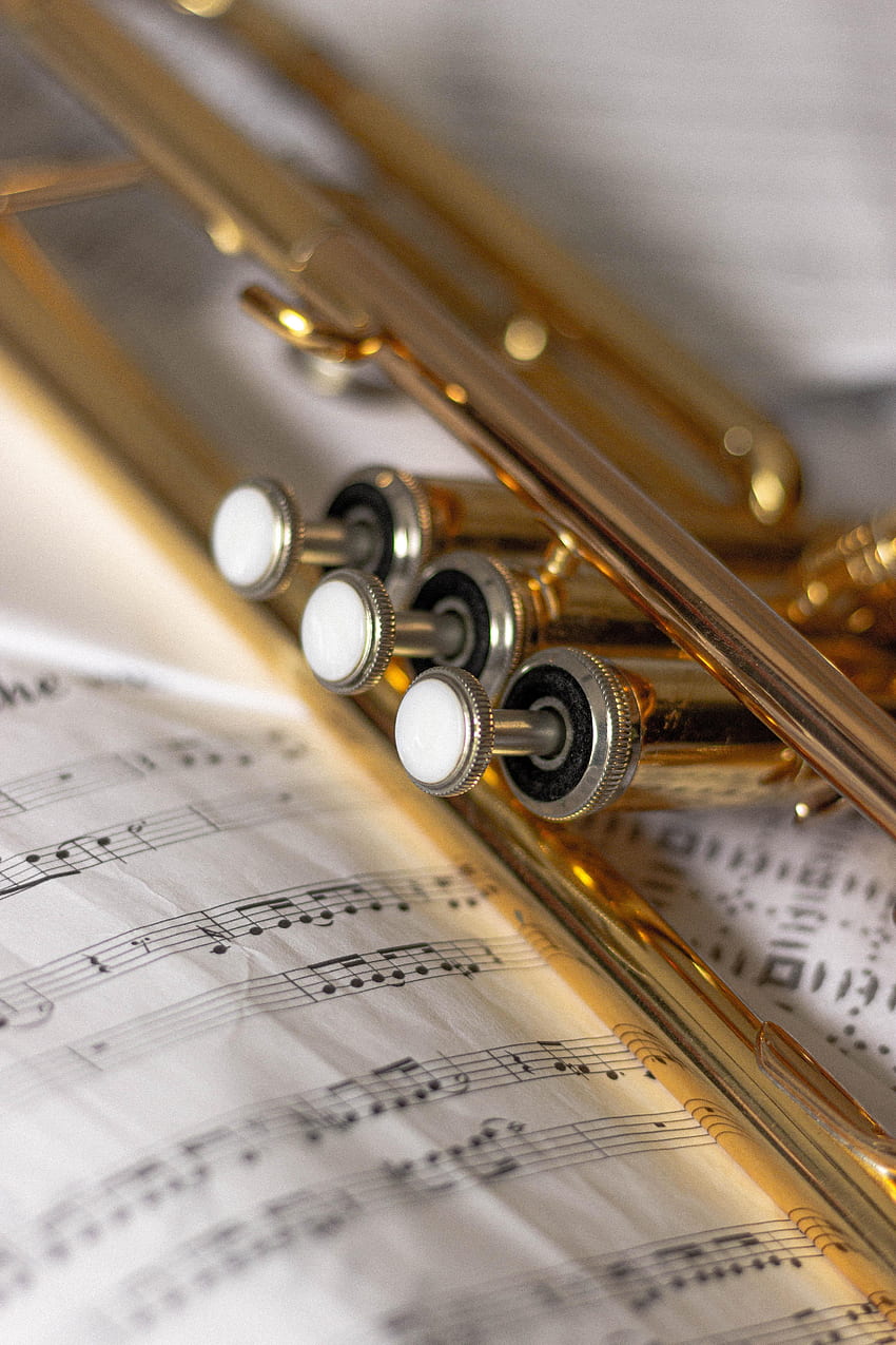 Music, Musical Instrument, Trumpet, Pipe, Notes HD phone wallpaper
