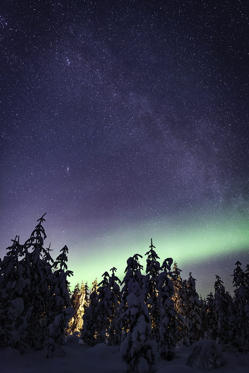 Winter, Natur, Bäume, Sternenhimmel, Milchstraße, Nordlichter, Aurora Borealis, Aurora HD-Handy-Hintergrundbild