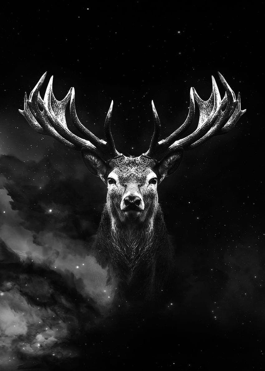 Galaxy deer face ' Metal Poster Print, Black Deer HD phone wallpaper