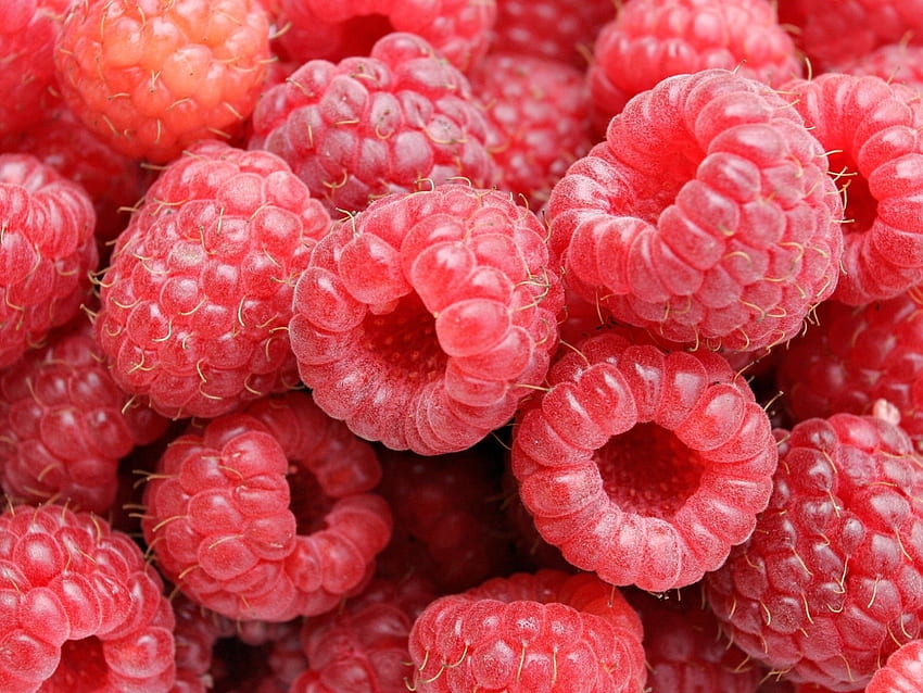 Fruits, Food, Raspberry HD wallpaper