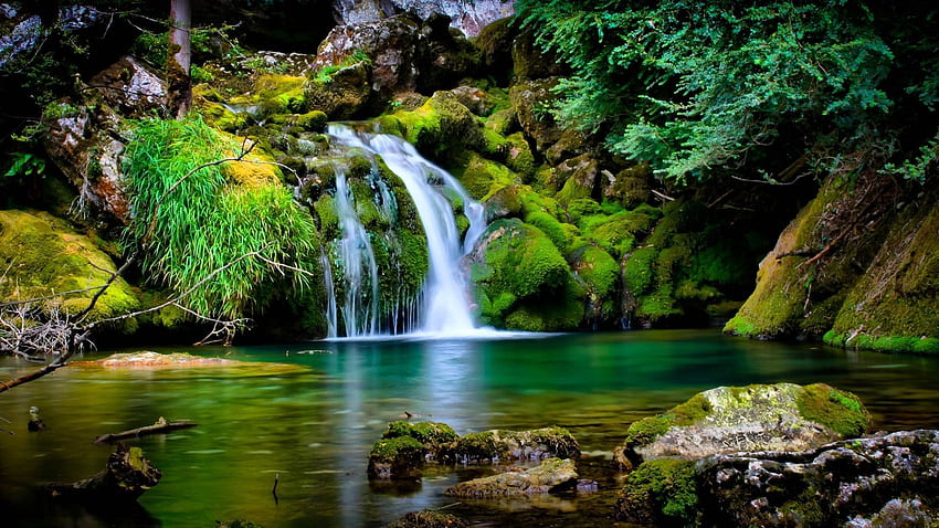 Green Water Beauty, Water Scenery HD wallpaper