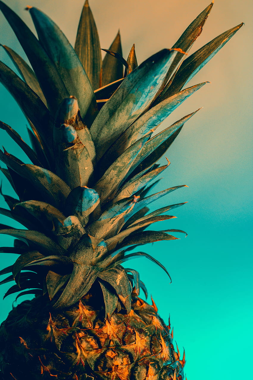 Food, Fruit, Tropical, Exotic, Pineapple HD phone wallpaper