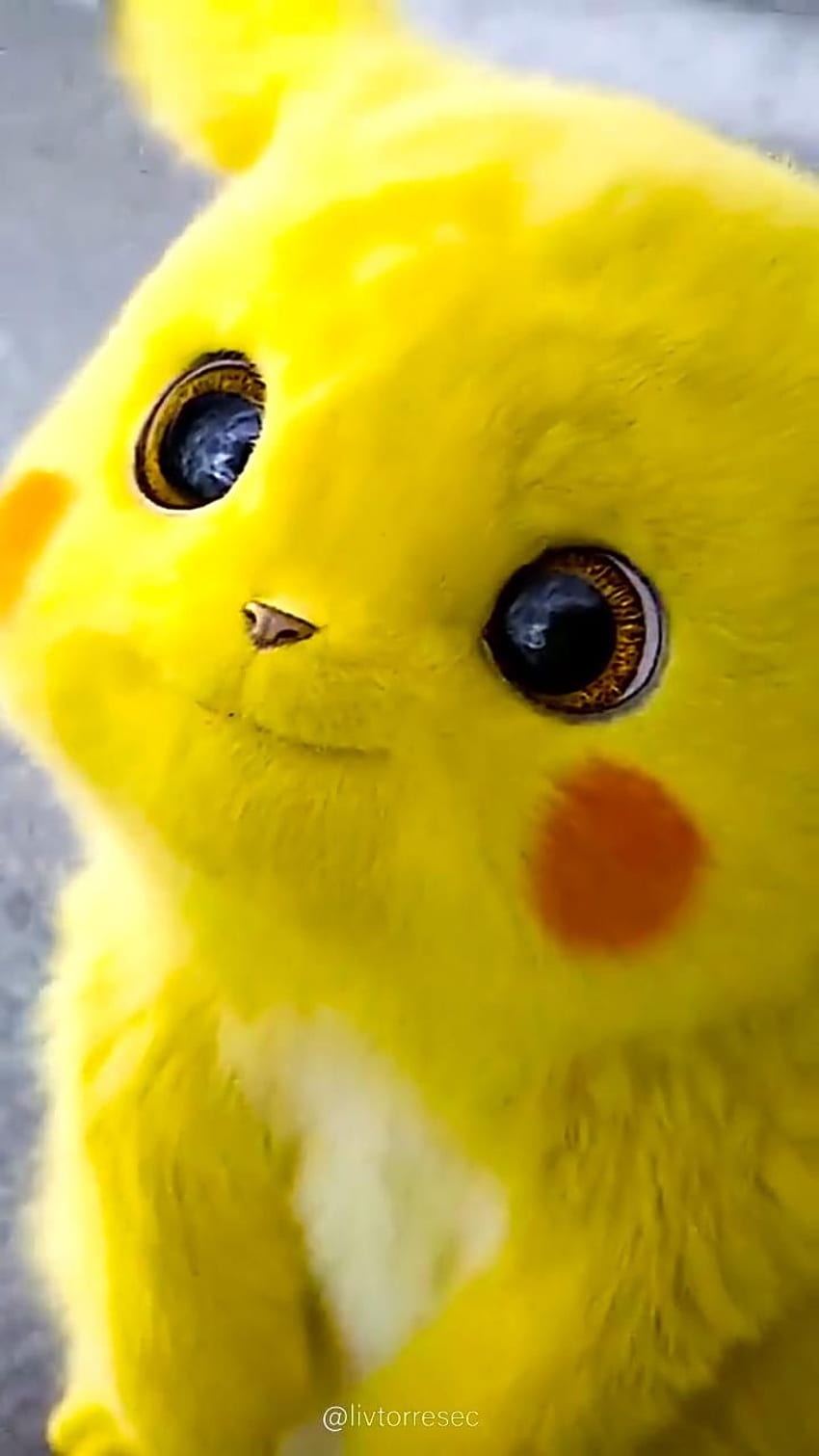 EN VIVO . PIKACHU. POKEMÓN. Pikachu cat, Cute pikachu, Cute kawaii animals, Sad Pokemon fondo de pantalla del teléfono