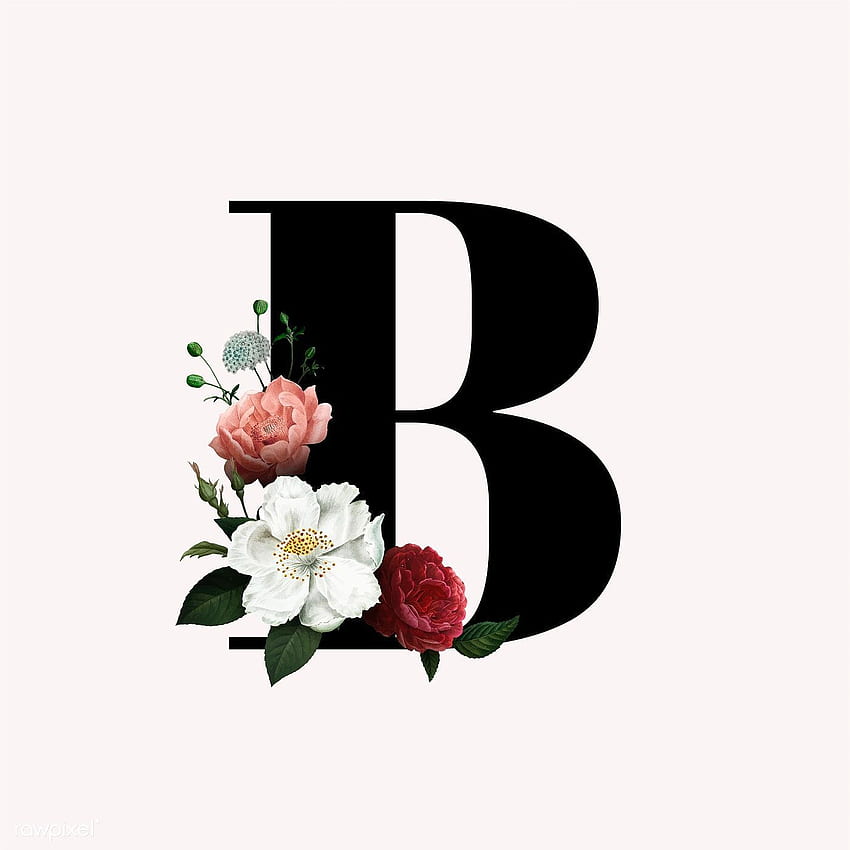 クラシックでエレガントな花のアルファベット フォント文字 B ベクトル、抽象文字 B HD電話の壁紙