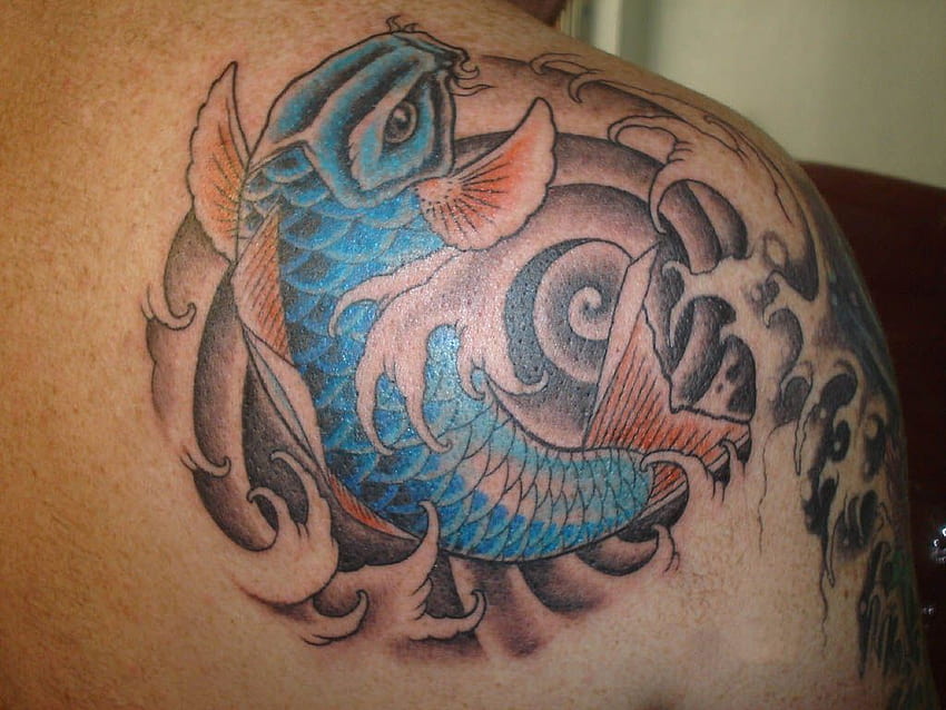 Best Koi Fish Tattoo Designs For Back Shoulder, Tattoo Japanese Koi HD  wallpaper | Pxfuel