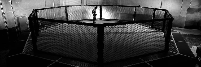 Preto e Branco Ufc - -, UFC Cage papel de parede HD