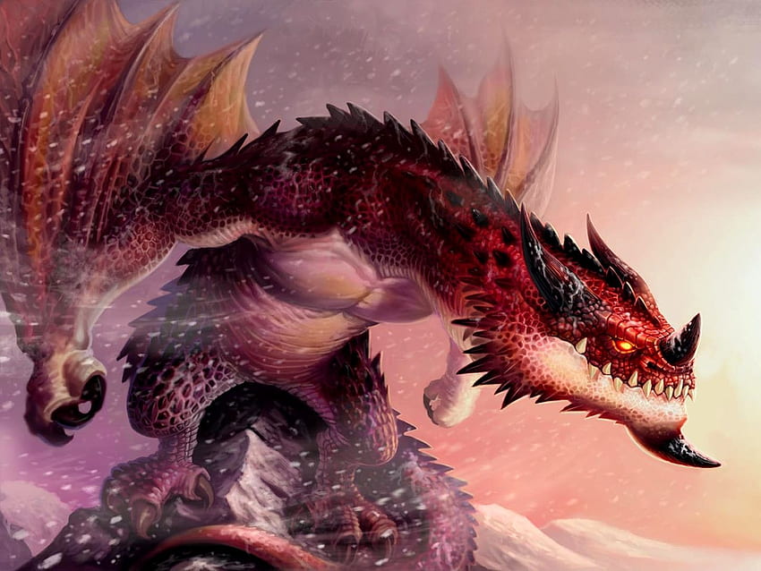 Fantasy - dragon . Dragon , Dragon , Fantasy dragon, Tiamat HD wallpaper