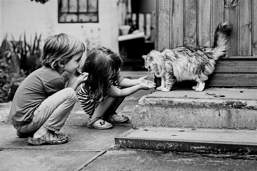 Memory of childhood, childhood, black and white, Memory, cat HD wallpaper