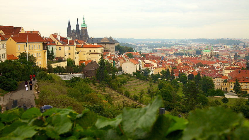 Historic Buildings : View of Prague Castle HD wallpaper