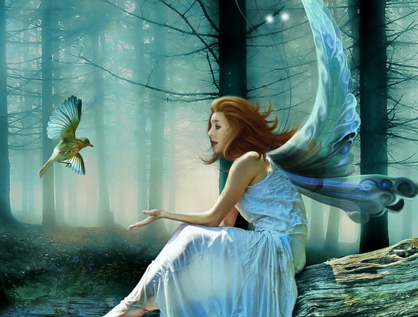 Angel And Friend, angel, friend, bird, forest HD wallpaper