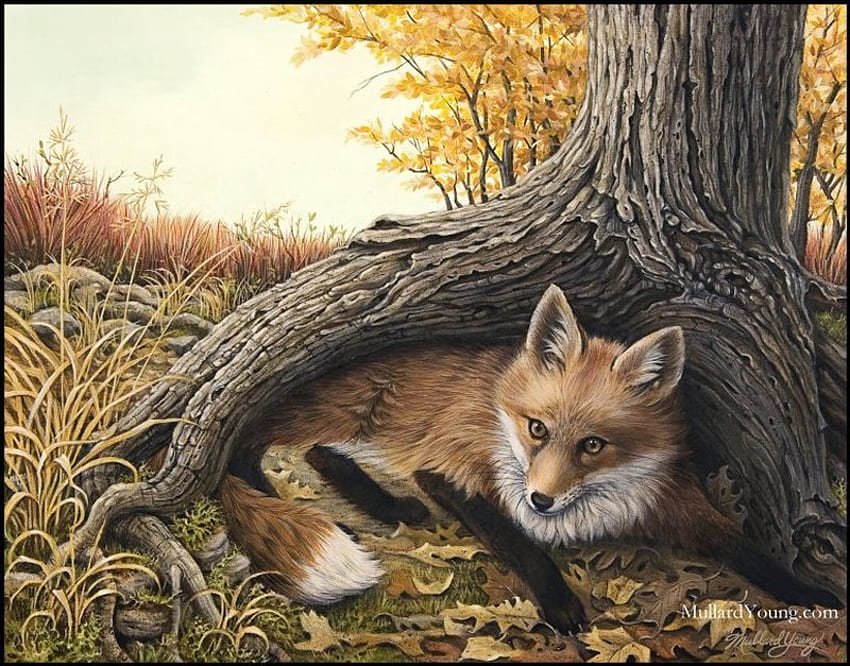 Jesienny lis, zwierzę, dzika przyroda, malarstwo, sztuka, lis Tapeta HD