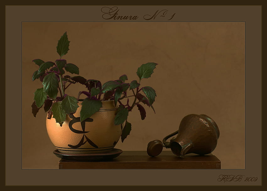 Japon Natürmort, kompozisyon, sanat, natürmort, tablo, pflanze, doğa, demir tencere, tencere HD duvar kağıdı