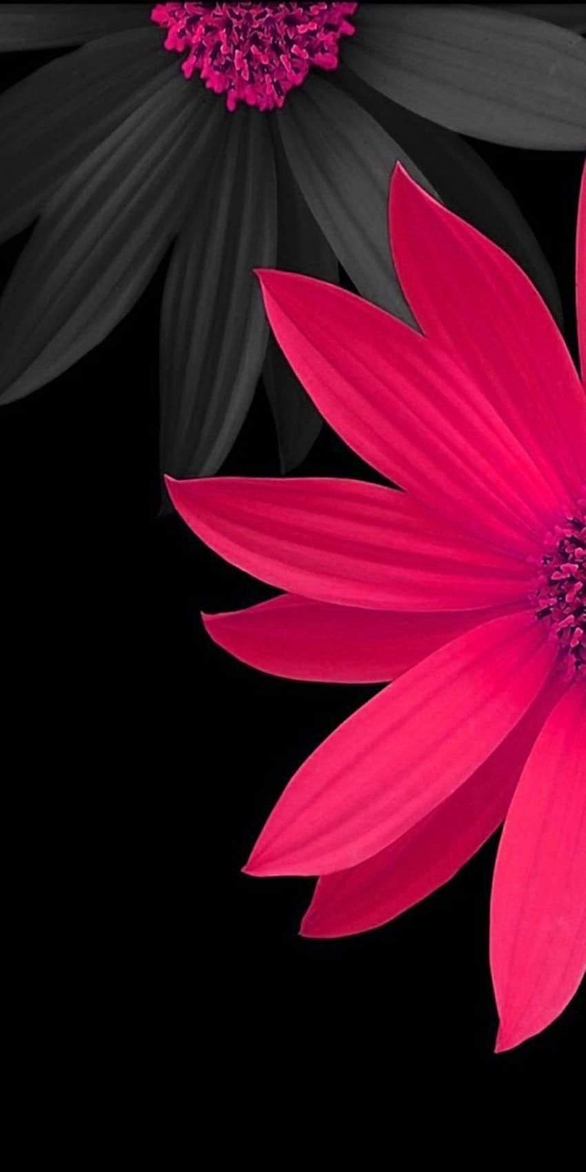 ݤ️ iphone x, Rustic Floral iPhone X HD phone wallpaper