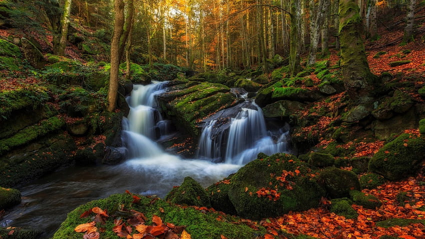 Jesienny las, upadek, wodospady, jesień, skały, liście, wodospad, drzewa, woda, las Tapeta HD