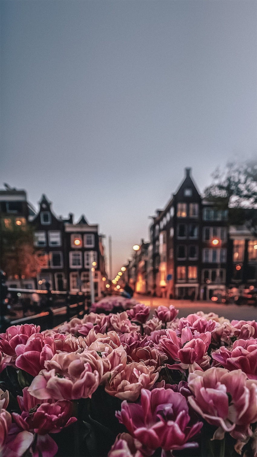 Spring Amsterdam HD phone wallpaper