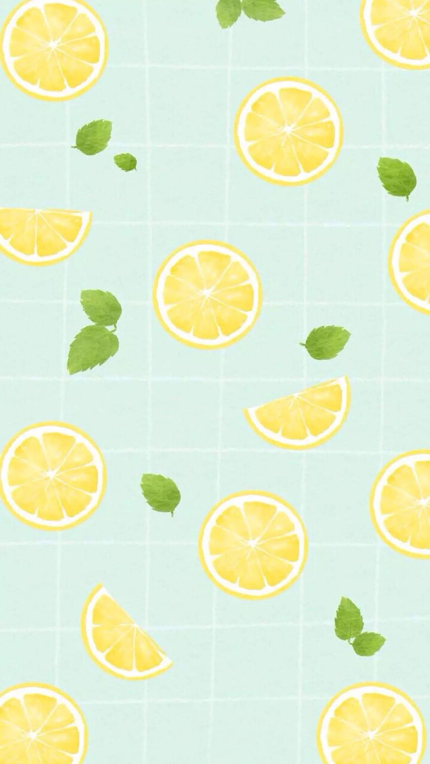 Fruit slice lemon lime orange grapefruit 1080x1920 iPhone 8766S Plus  wallpaper background picture image