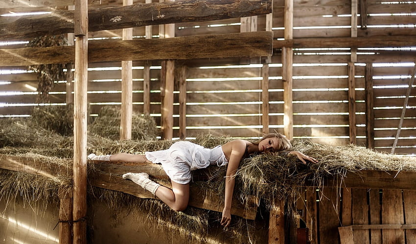 Anastasia Shcheglova เจ้าหญิงนิทรา โรงนา ชุดขาว ผมบลอนด์น้ำผึ้ง นอนลง หญ้าแห้ง วอลล์เปเปอร์ HD