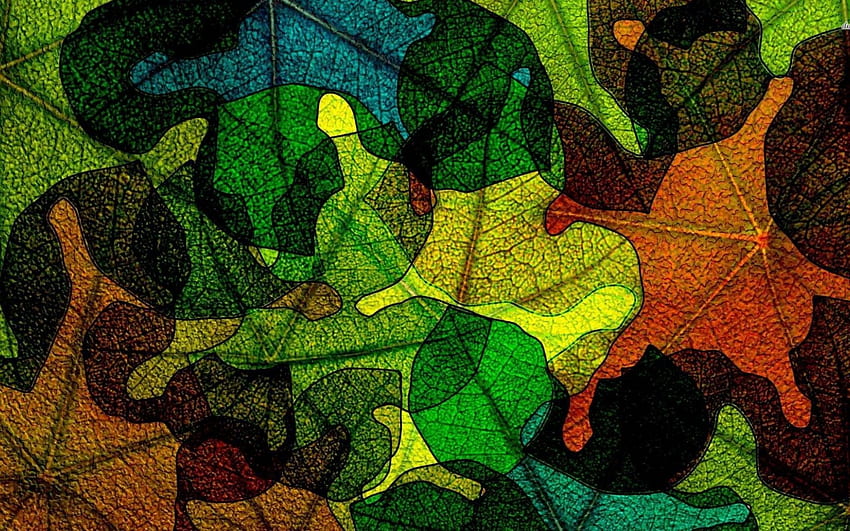 Leaves contours Abstract 29766 HD wallpaper