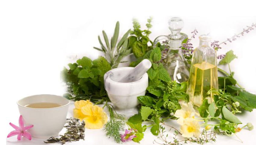 Medicinal Herbs on, Herbal Medicine HD wallpaper