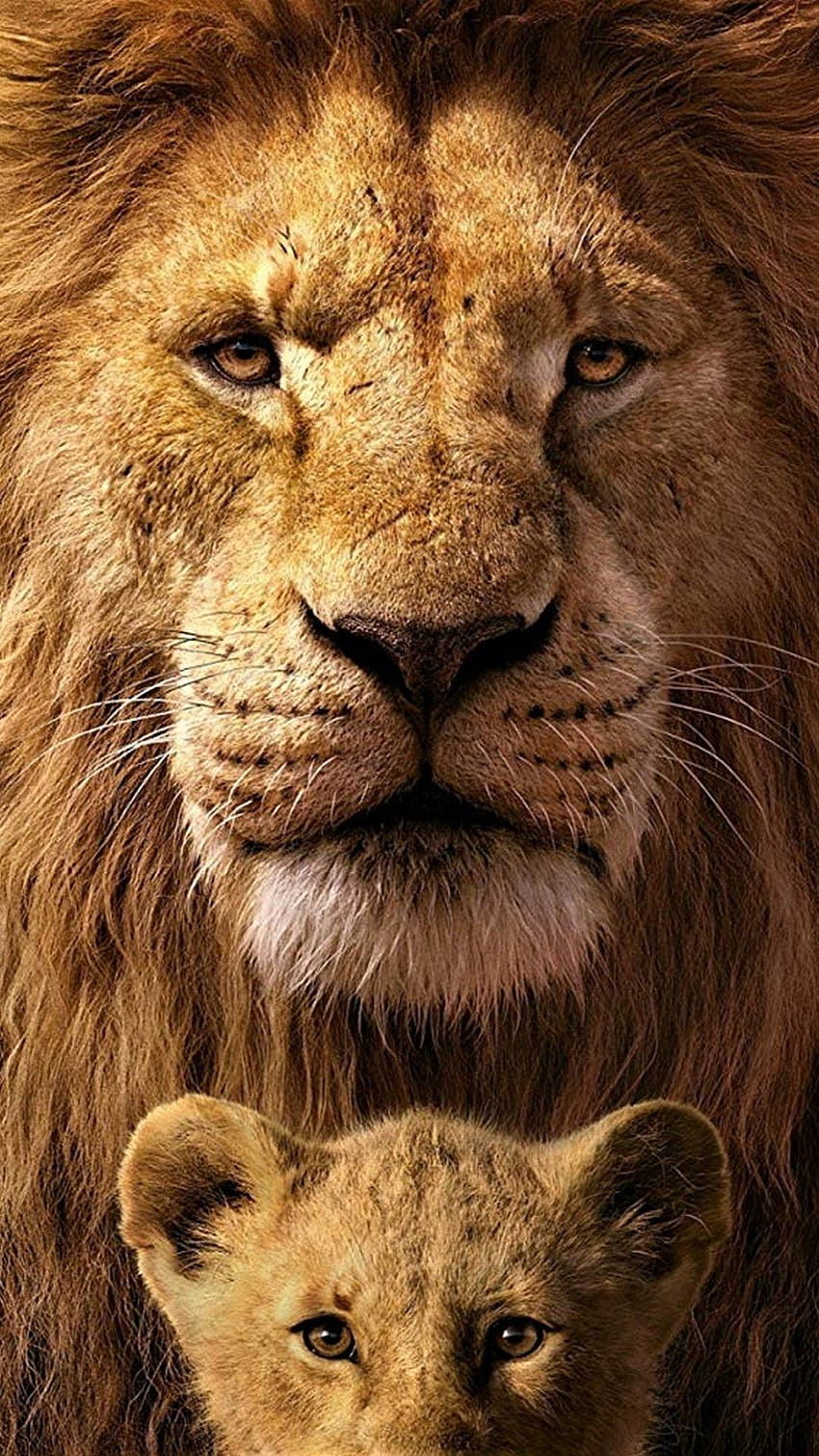 Lion iPhone สิงโตและลูกสิงโต วอลล์เปเปอร์โทรศัพท์ HD