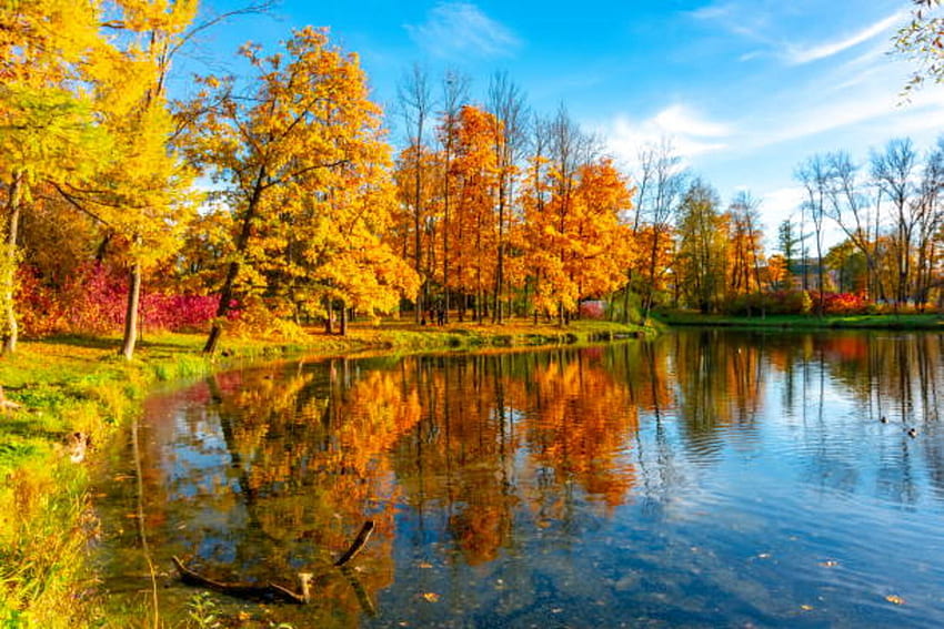 Autumn Park, Lake, Autumn, Sky, Trees HD wallpaper | Pxfuel