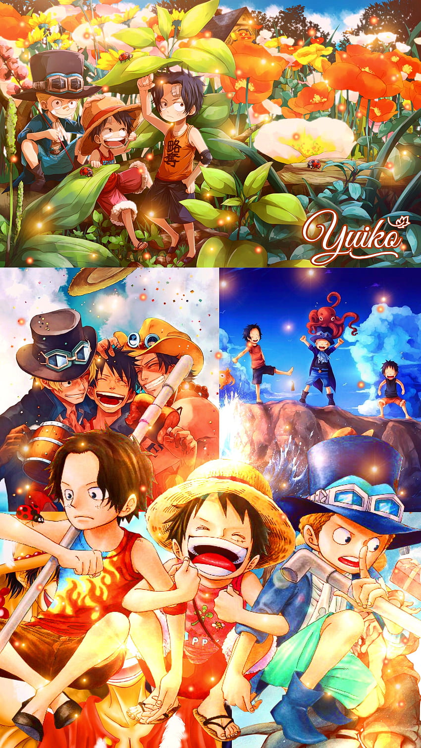 One Piece Luffy Ace Sabo. Wild Country Belas Artes, Kid Luffy Ace Sabo Papel de parede de celular HD