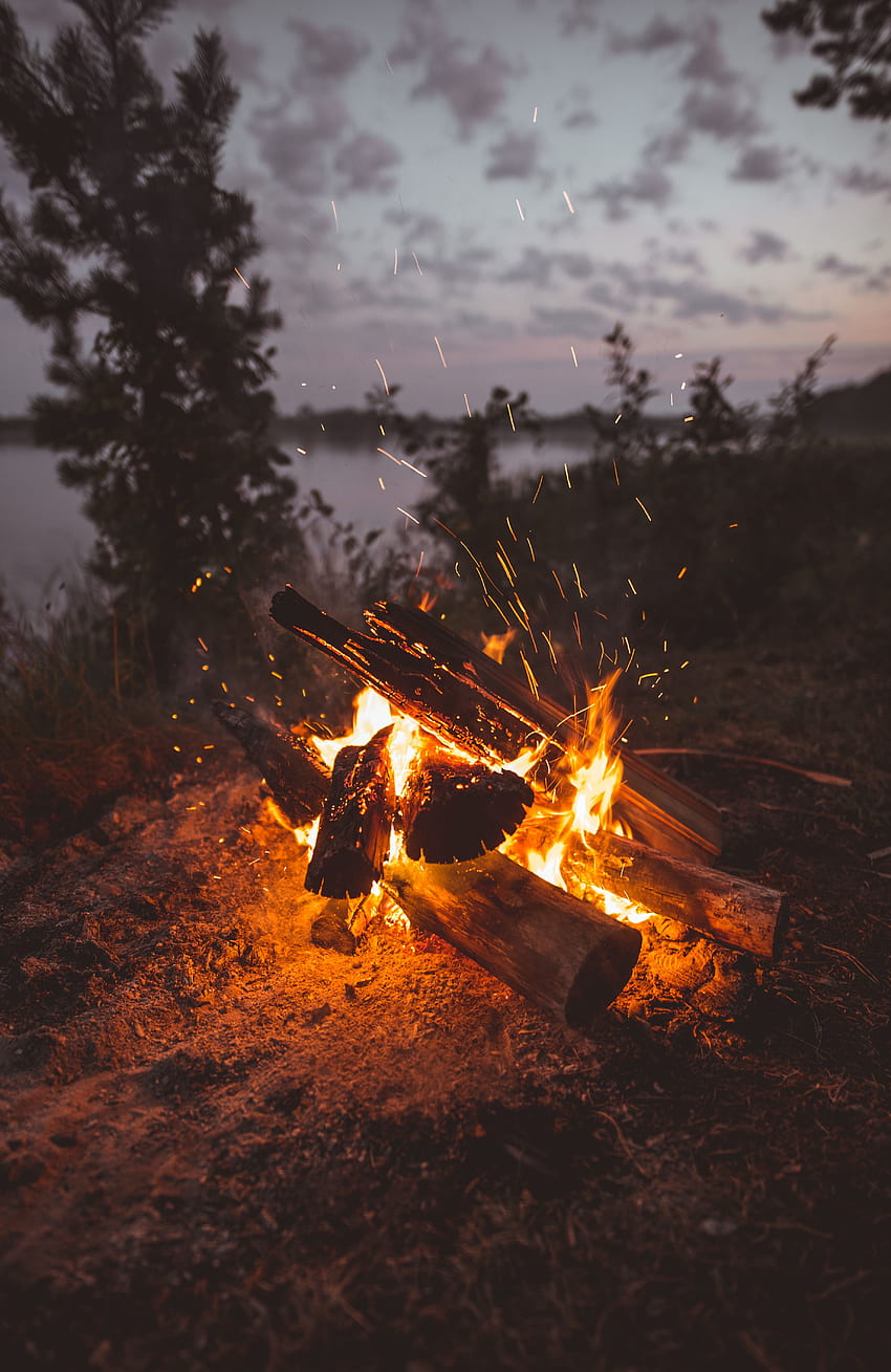 Ogień, ognisko, ciemność, iskry, drewno opałowe Tapeta na telefon HD