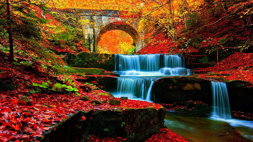 River Cascades, leaves, fall, autumn, bridge, waterfall, colors HD wallpaper