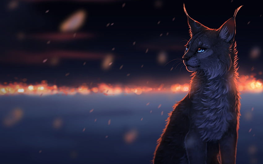 Katze mit Galaxiebrille, erstaunliche Katzengalaxie HD-Hintergrundbild