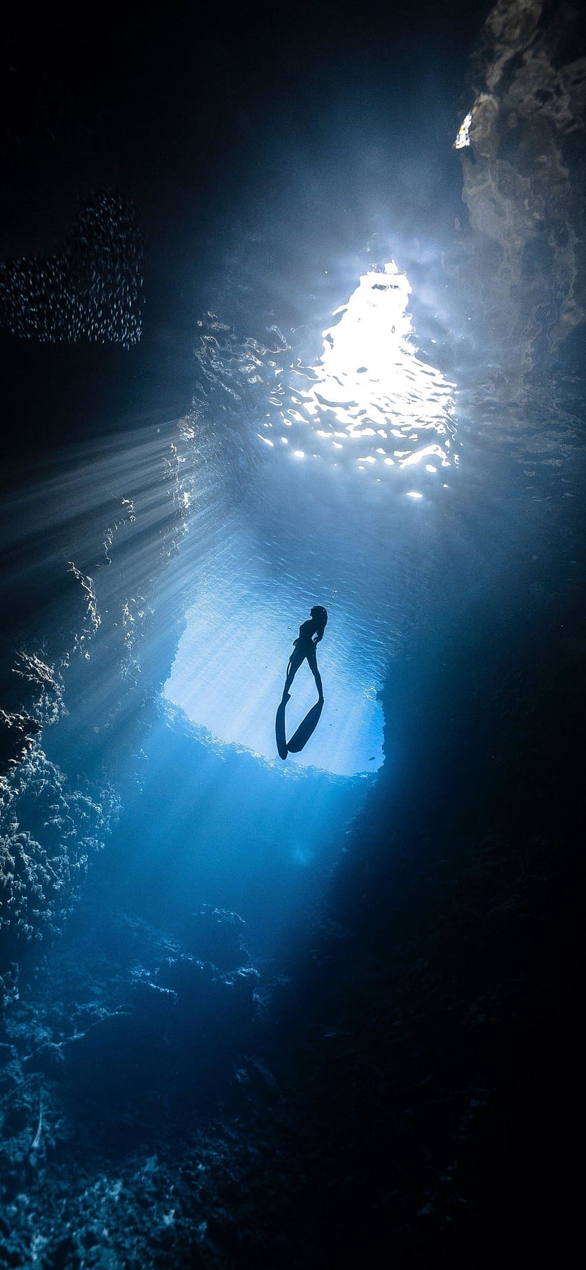 Scuba Diver, Under Water, Silhouette, Sea, Iphone X , Background, 25234 HD phone wallpaper