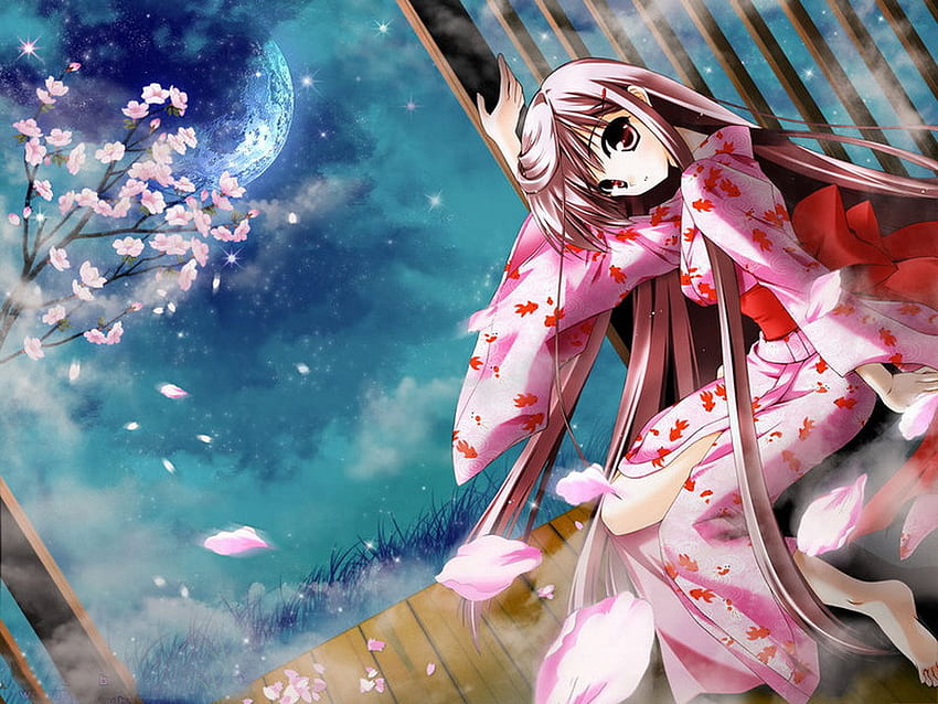 cute girl,cherry blossoms, cute girl, cherry blossoms HD wallpaper