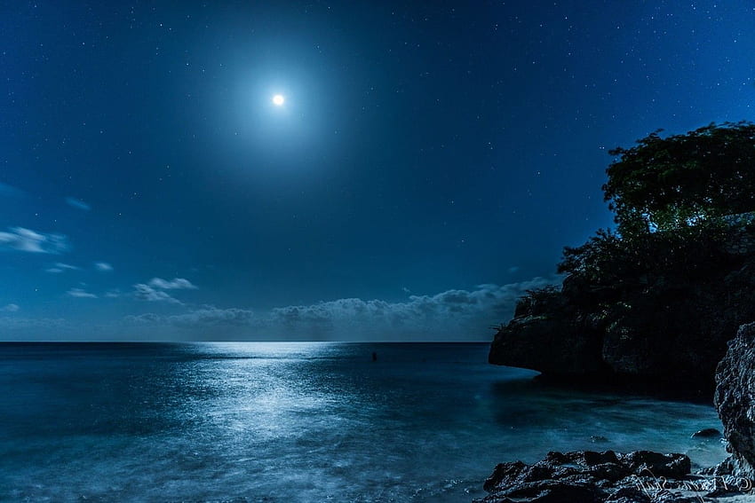kraj, przyroda, karaiby, morze, gwiaździsta noc, księżyc, światło księżyca, wyspa, plaża, niebieski / i mobilne tło Tapeta HD