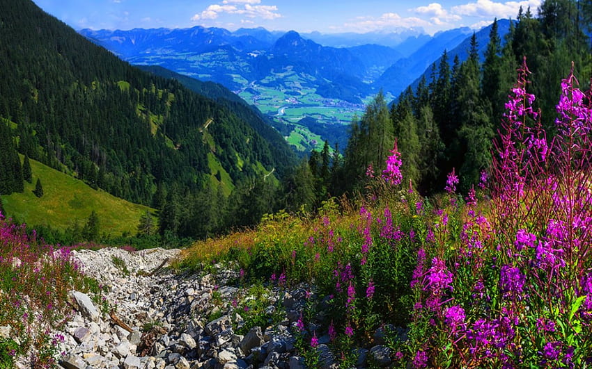 Beautiful scenery, landscape, nature, flowers, mountain HD wallpaper