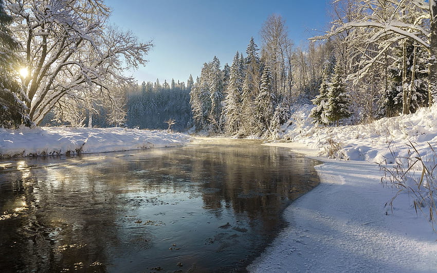 River Amata in Latvia, trees, Latvia, winter, river HD wallpaper | Pxfuel