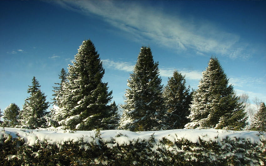 Naturaleza, Cielo, Nieve, Ate fondo de pantalla