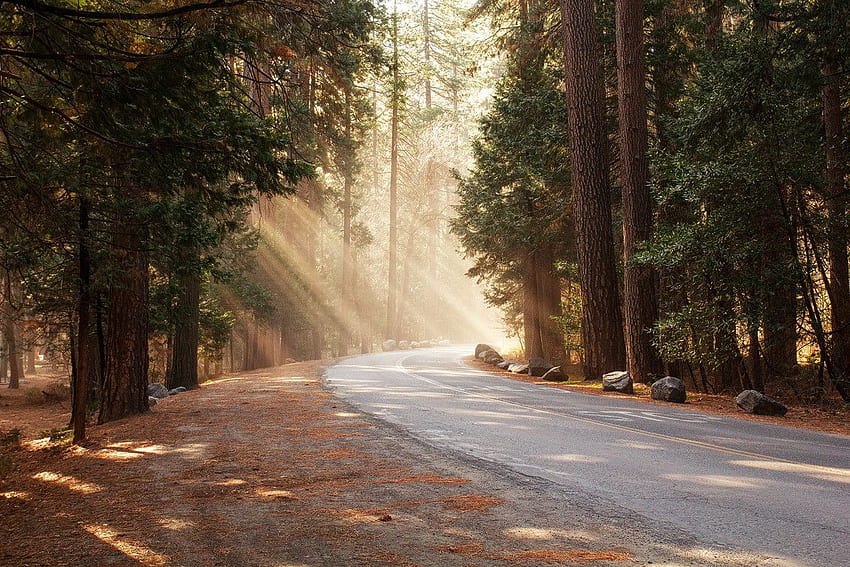 500px Blog La comunidad de fotógrafos apasionados. viaje por carretera, viaje por carretera fondo de pantalla