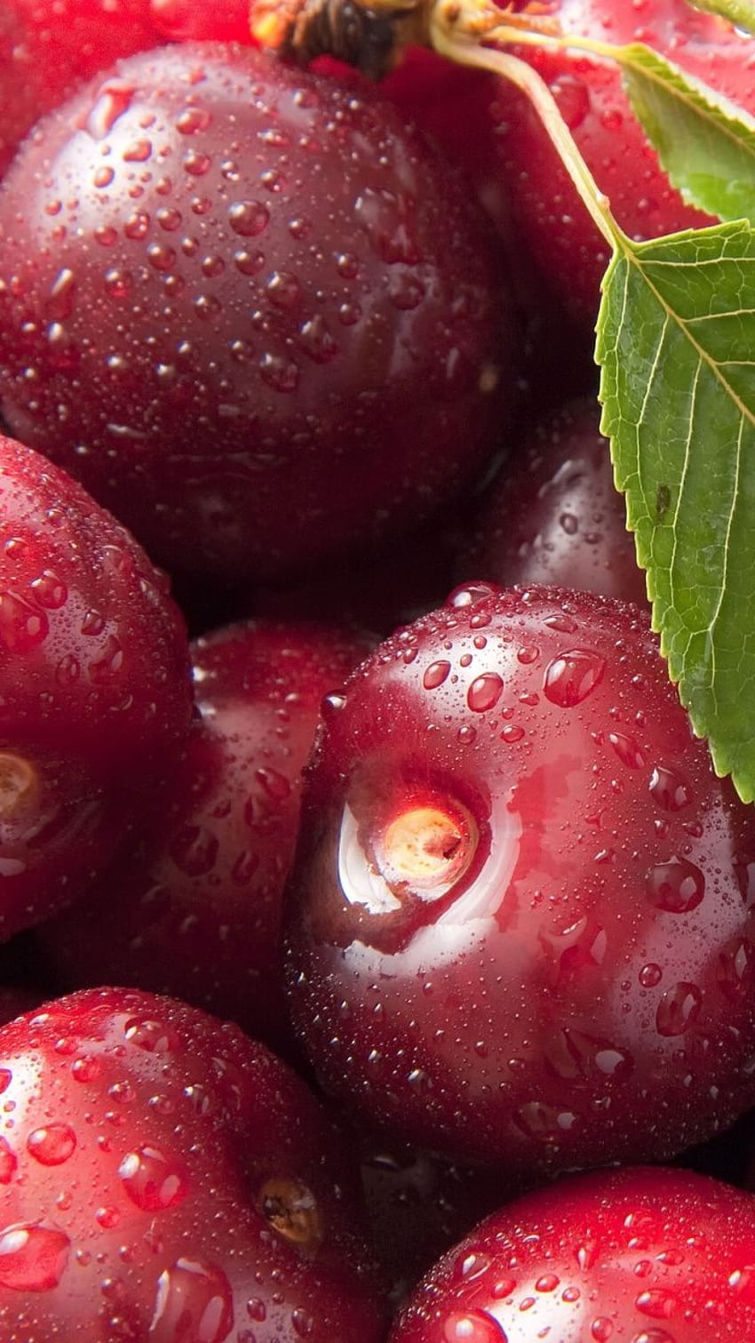 Alimentos Naturais, Cereja Doce, Frutas, Cranberry, Alimentos - Cherry High Papel de parede de celular HD