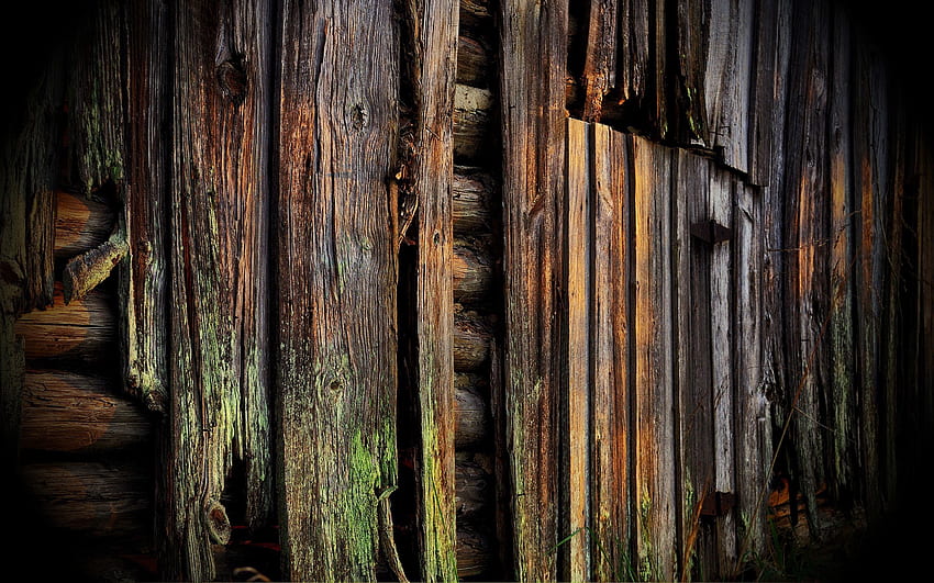 Natur, Holz, Baum, Wand, Verkleidung, Bretter, Bretter, Feuchtigkeit HD-Hintergrundbild