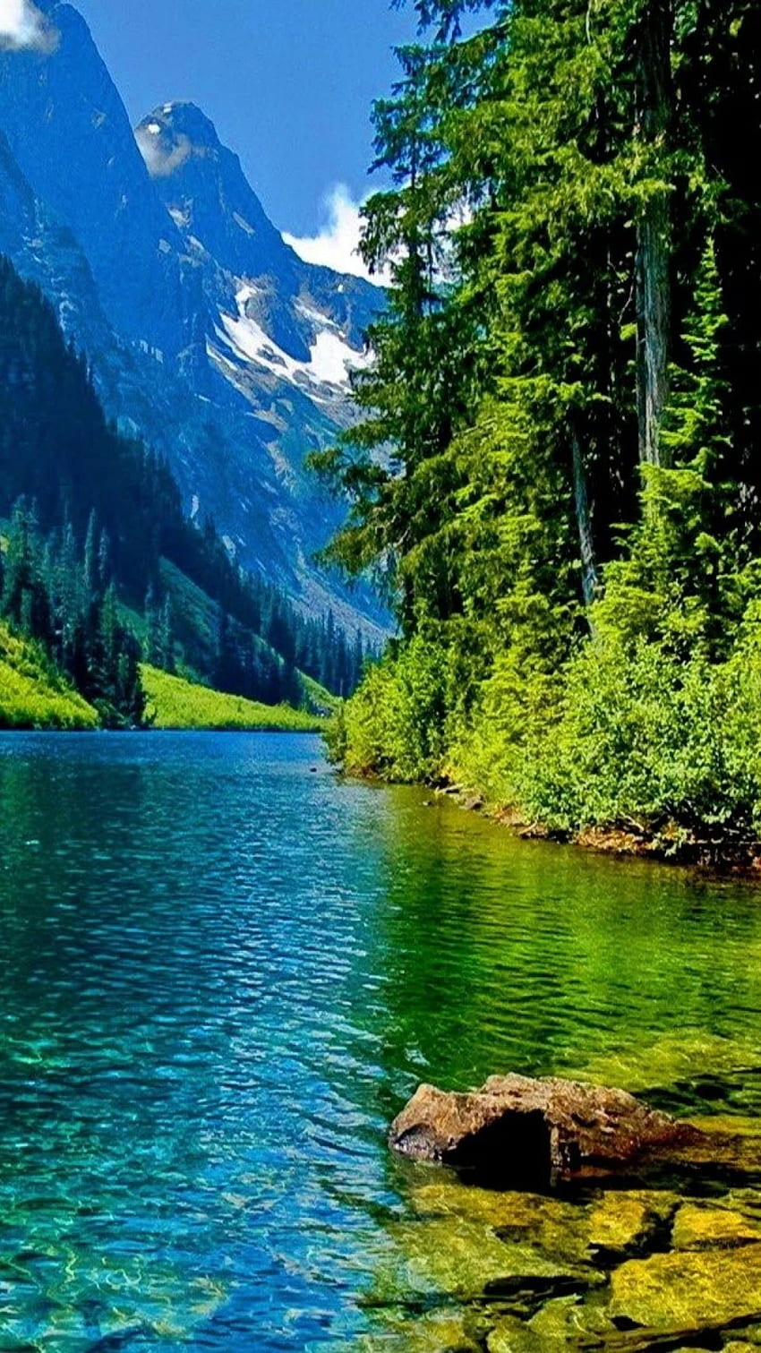 Зелена вода върху прекрасна зелена природа [] за вашия мобилен телефон и таблет. Изследвайте зелената природа. Зелена природа, Зелена природа, Зелено HD тапет за телефон