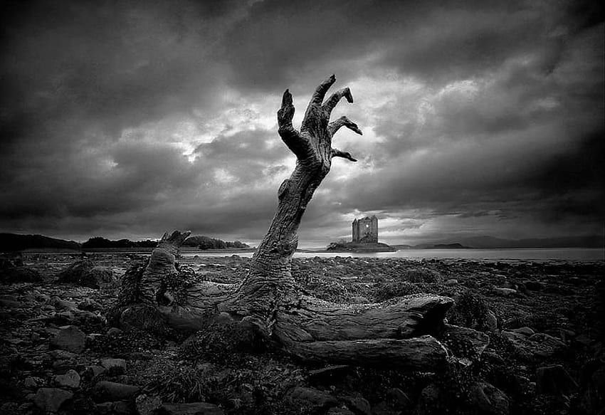 Hände hoch, schwarz, Holz, Himmel, Schottland, Hand, Strand HD-Hintergrundbild