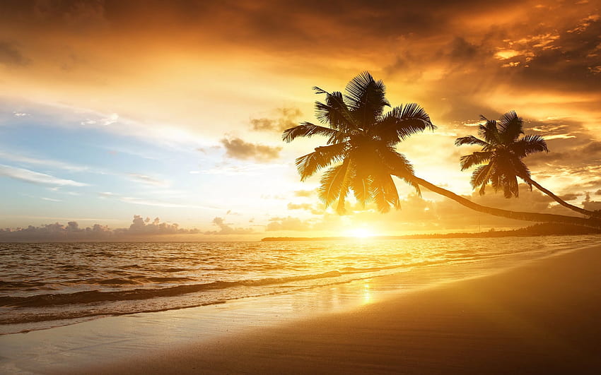 Beach sunset, Caribbean Party HD wallpaper