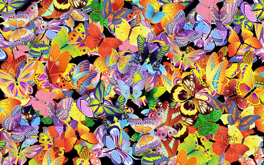 Butterfly World, mariposas, verano, mariposa, hermosa, Viola Tricolor, primavera fondo de pantalla
