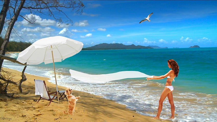 *Забавление на плажа*, куче, остров, тропик, морски бряг, море, чадър, бяло, чайка, морски пейзажи, забавление, момиче, hq, плаж, лято HD тапет
