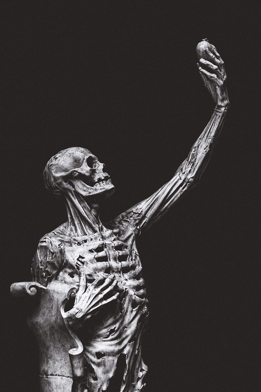 Statue of human skeleton on black background · Stock, Statute HD phone wallpaper