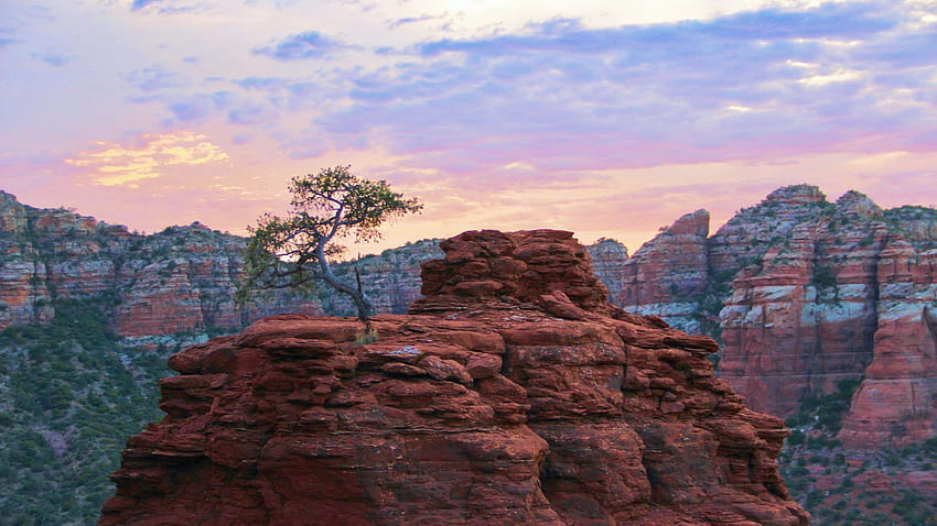 Sedona Arizona, rocks, tree, sunset, clouds, sky, usa HD wallpaper